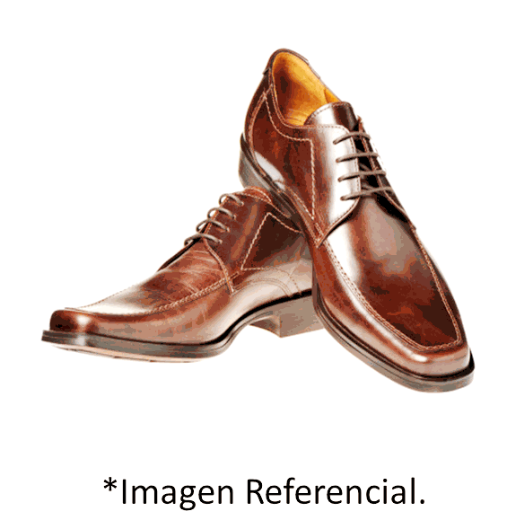 Zapatos website top